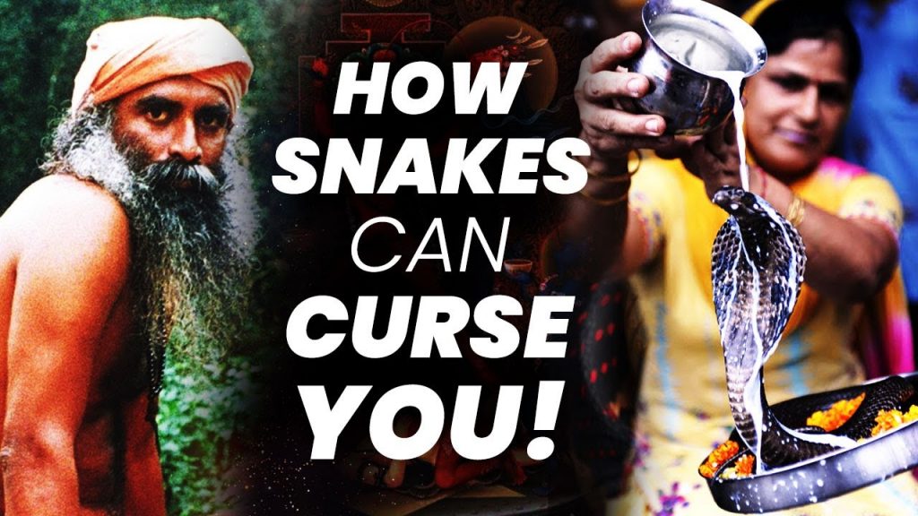 When This Happens We Say “You Have Naga Dosham” ! | Snake | Occult | Sadhguru | Adiyogi