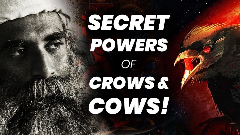 Secret Powers Of Crows! | Cows | Dogs | Birds | Sadhguru | Adiyogi