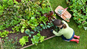 A new frontier in disease prevention and treatment – NaturalNews.com