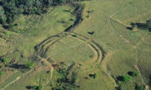 Traces of a lost civilization? Researchers find hundreds of mysterious structures in the Amazon