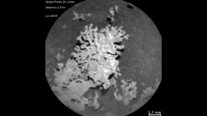 Curiosity’s ChemCam Views a Rock Shaped Like Coral, Mars anomaly, life.