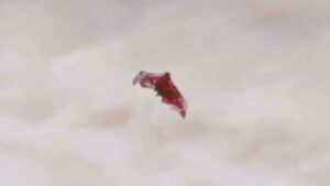 Red Dragon And Friends? 2025