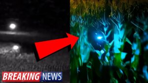 HOLY SNAP! NEW FOOTAGE UFOS FORM A CROP CIRCLE 2nd & 3rd Angle!