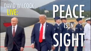 David Wilcock LIVE: Peace is in Sight