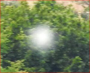 MYSTERIOUS ORB PHOTOGRAPHED IN DEVON ENGLAND
