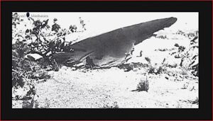 ALIEN CRAFT CRASHES IN ARIZONA