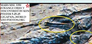 THOUSANDS OF INSECTS DISCOVERED ON MARS