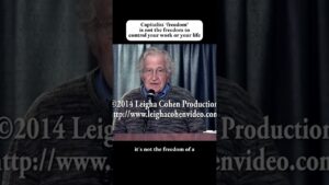 “Capitalism and democracy really are inconsistent.” – Noam Chomsky
