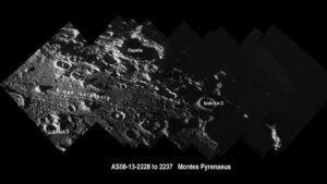 Have You Seen The Alien Head On The Moon Joe? 2025