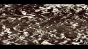 Video Number 6023. 2025