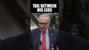 Pete Hegseth Humiliates Chuck Schumer in Front of the Press