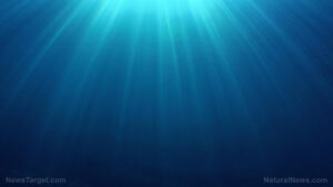 2,000-year-old “pleasure barge” discovered in Alexandria’s ancient harbor – NaturalNews.com