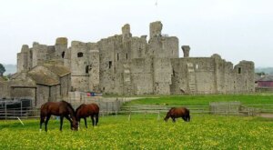 Archaeology sheds new light on the bloody battle that changed the course of England forever