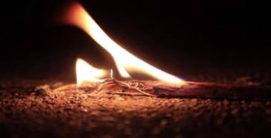 New study suggests Homo sapiens were not the first to use fire