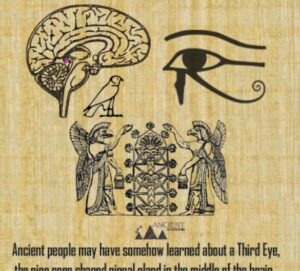 Are scientists catching on to ancient knowledge of how to change DNA?