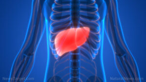 Study reveals shocking link between common sweeteners and fatty liver disease – NaturalNews.com