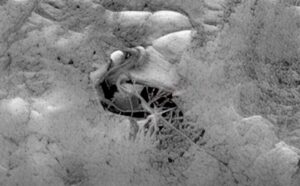 One of the strangest things seen on Mars