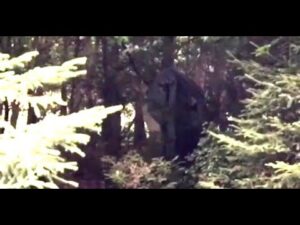 A scary creature was filmed in a Slovakian forest