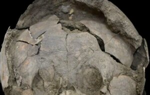 Infants found buried in Ecuador were wearing ‘helmets’ made from other children’s skulls