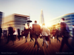 Report reveals IT job postings are designed to favor foreign visa holders over U.S. workers – NaturalNews.com