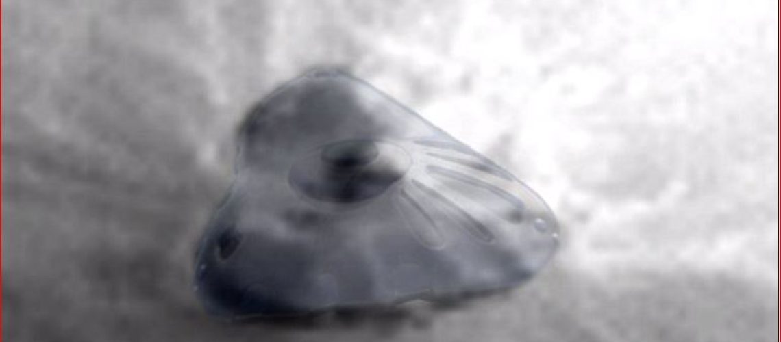 11A1A1A1A-NARS-UFO.jpg