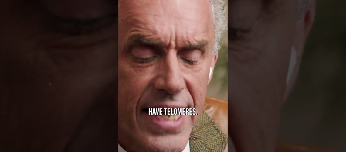 1744350494_maxresdefault.jpg