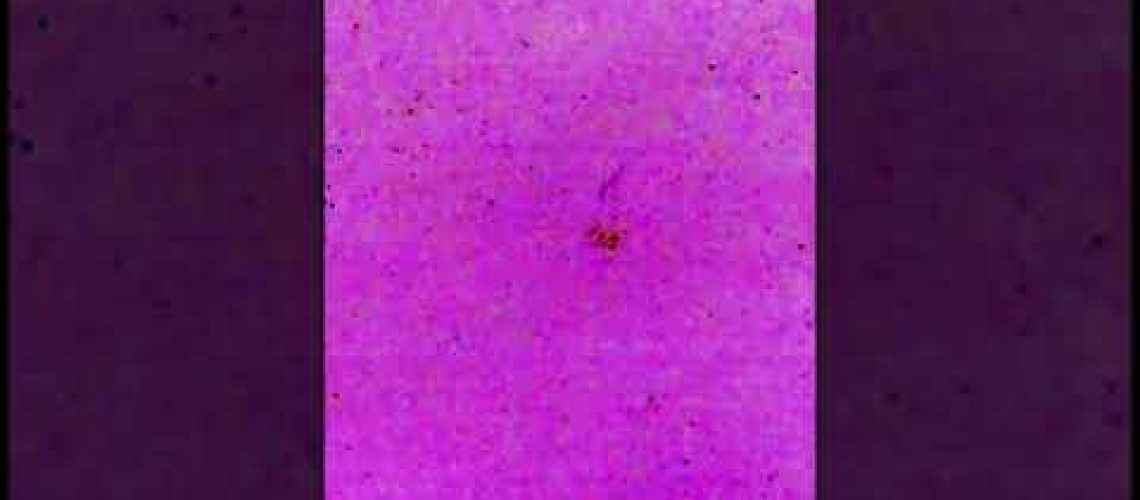 1744491426_hqdefault.jpg