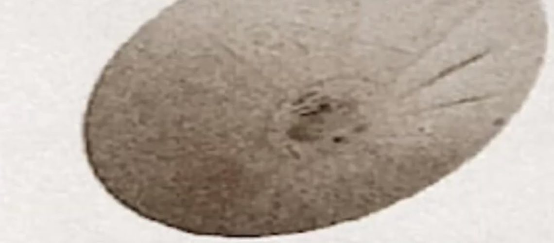 1747900086_maxresdefault.jpg