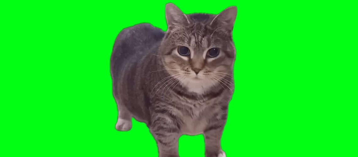 1747989370_maxresdefault.jpg