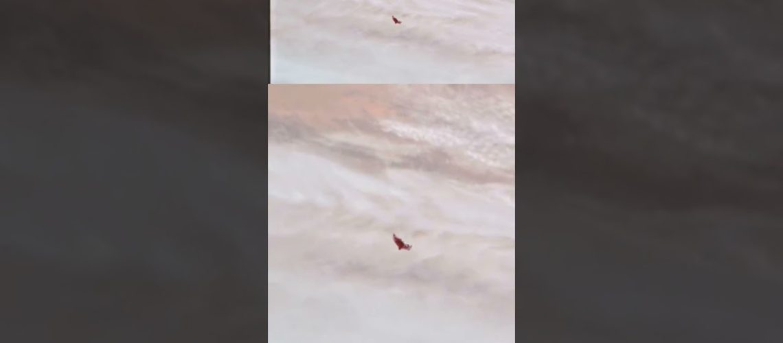 1748732587_maxresdefault.jpg