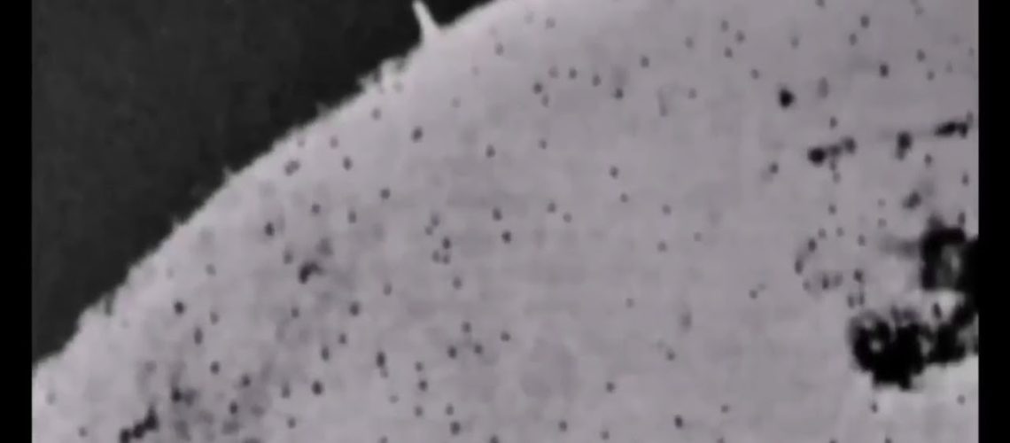 1749889972_maxresdefault_live.jpg