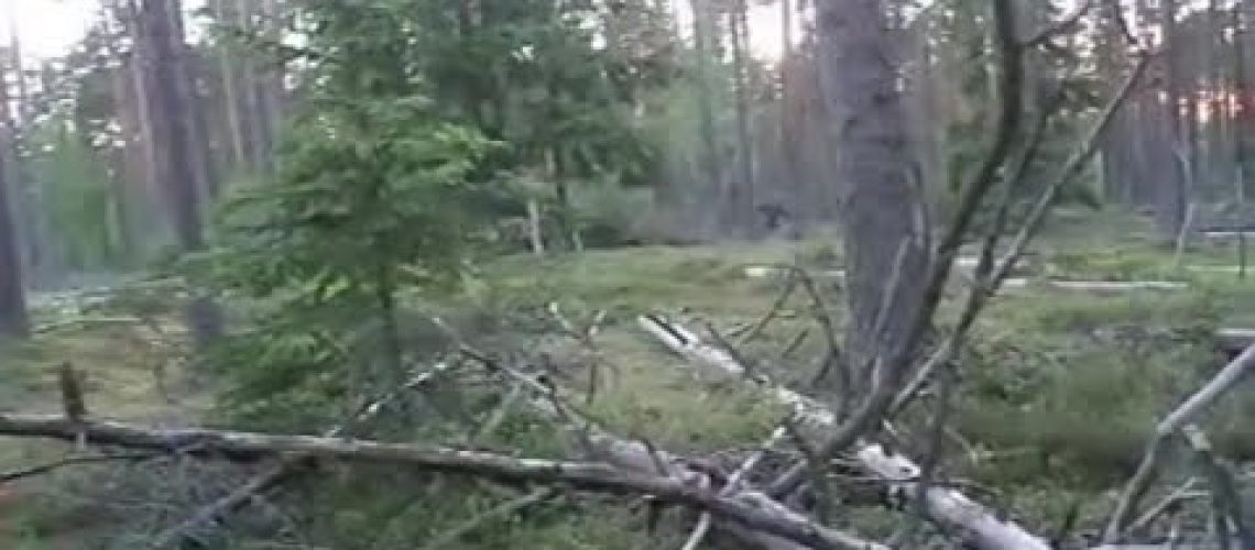 1753367947_hqdefault.jpg