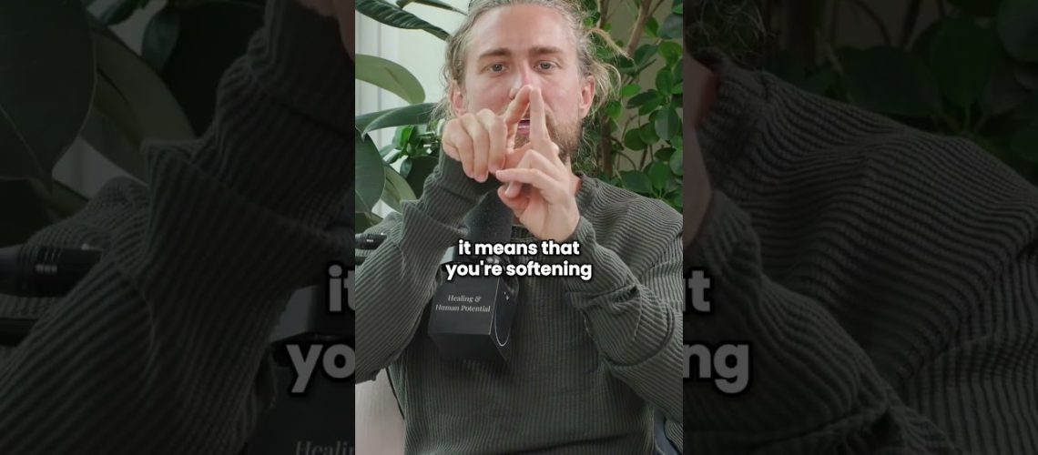 1754205727_maxresdefault.jpg
