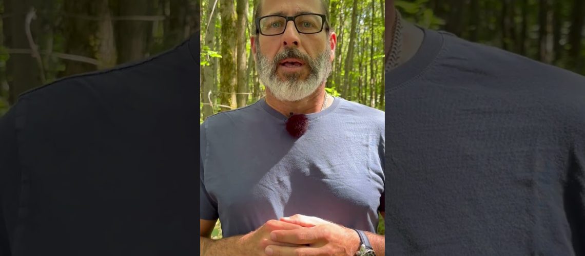 1756581991_maxresdefault.jpg