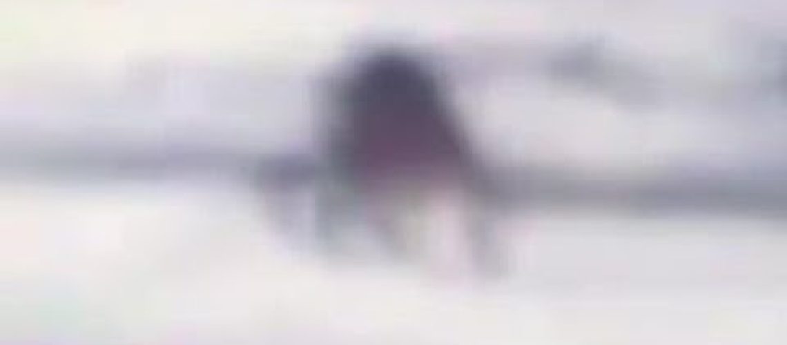 1756897024_hqdefault.jpg