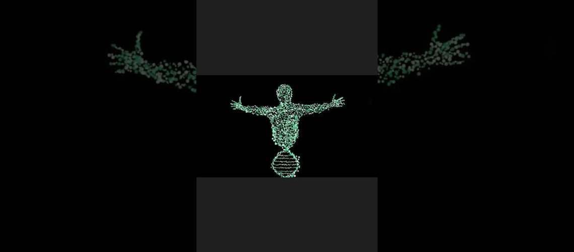 1761555126_maxresdefault.jpg 1761555126_maxresdefault.jpg