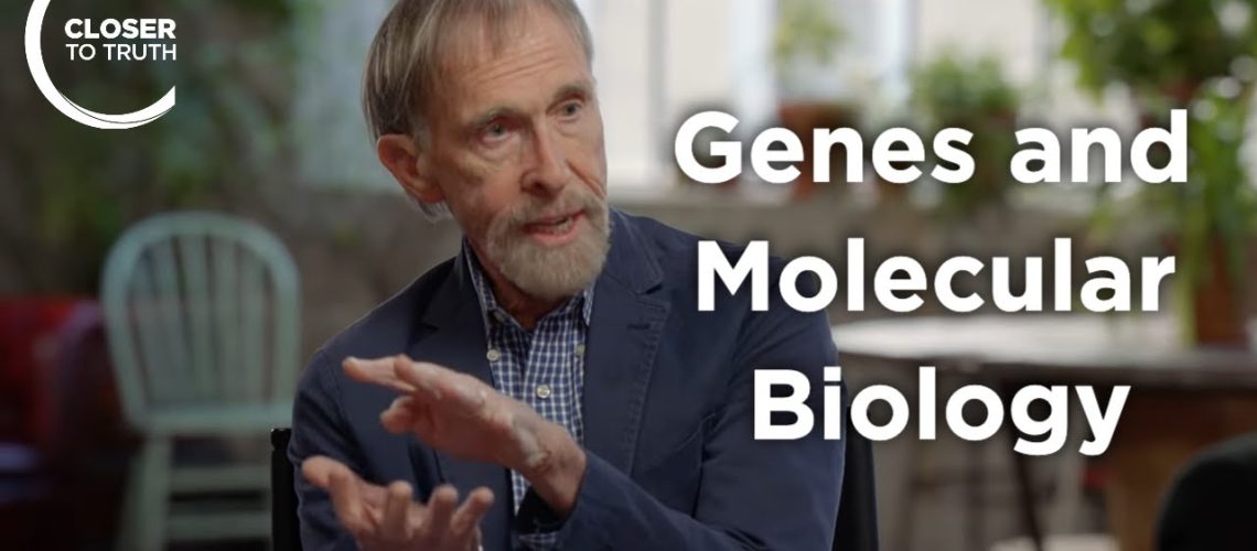 1761586741_maxresdefault.jpg 1761586741_maxresdefault.jpg