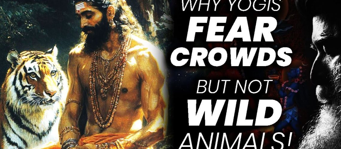 1761834533_maxresdefault.jpg 1761834533_maxresdefault.jpg