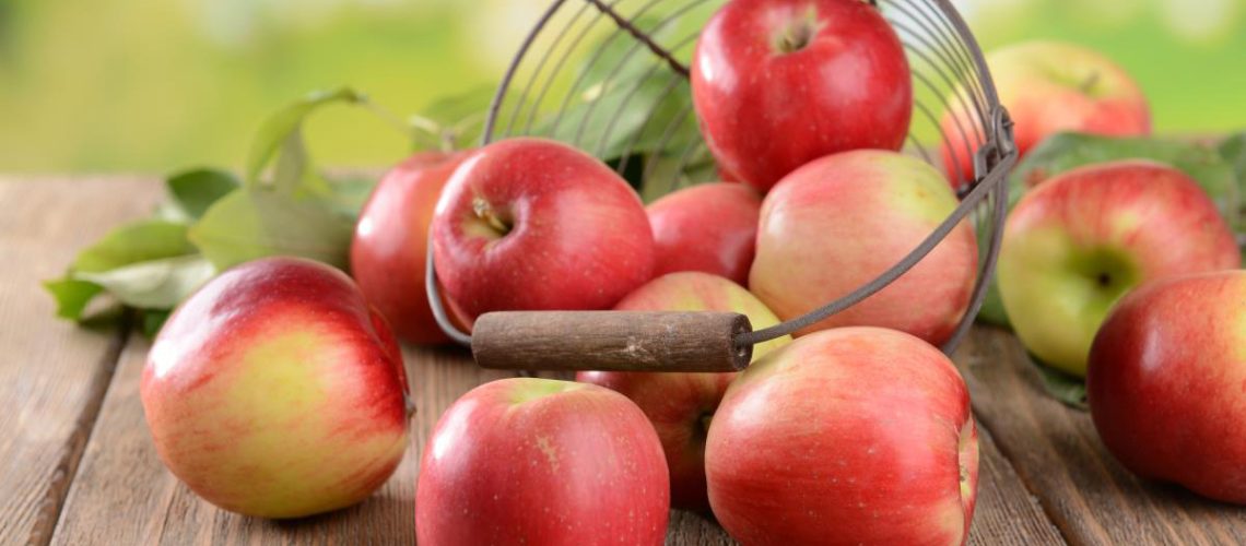 Agriculture-Apple-Autumn-Background-Basket-Box-Bright.jpg