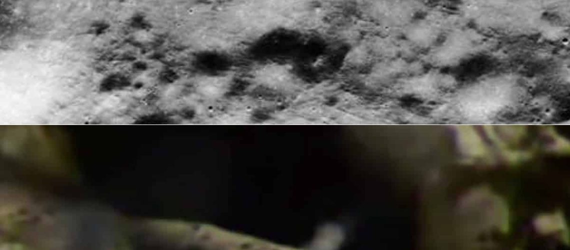 Alien-SpaceCraft-1.jpeg