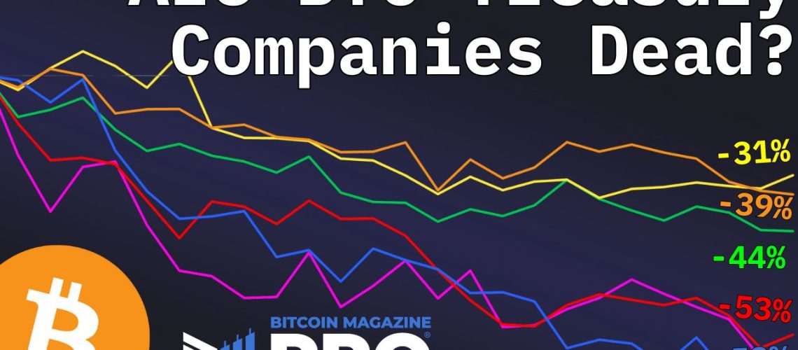 Are-Bitcoin-Treasury-Companies-Still-a-Smart-Investment-in-2025.jpg
