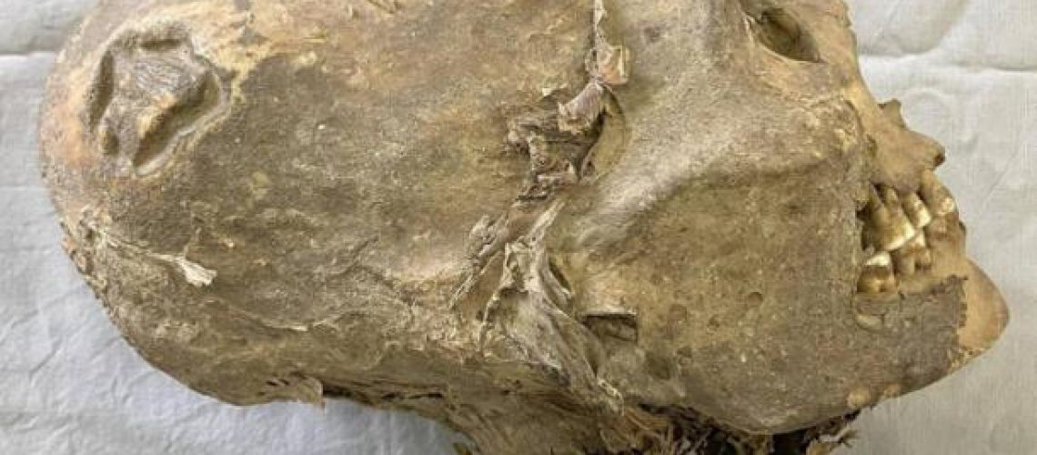 Aymaraskull.jpg