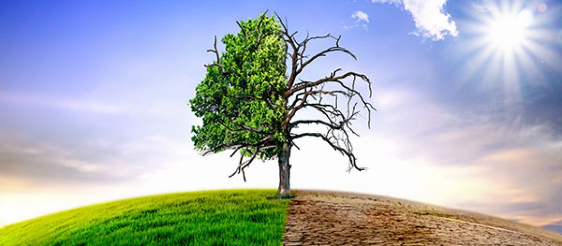 Climate-change-withered-tree-and-dry-earth-1.jpeg