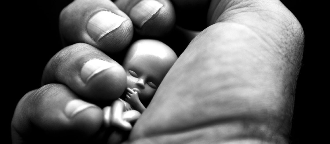 Fetus-Abortion-Fist-Baby-Harm.jpg