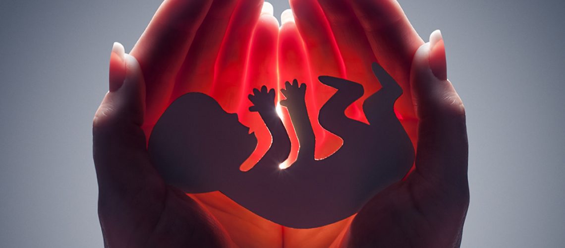 Fetus-Abortion-Hands-Live-Baby.jpg