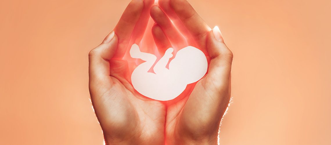 Fetus-Abortion-Life-Hands-Care.jpg