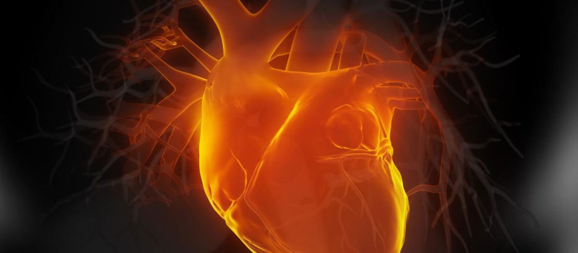 Focused-Human-Heart-Also-Footage-Available.jpg