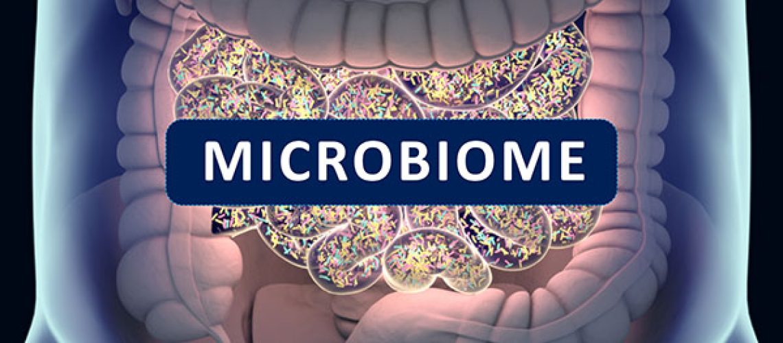 Gut-bacteria-gut-flora-microbiome-1.jpeg