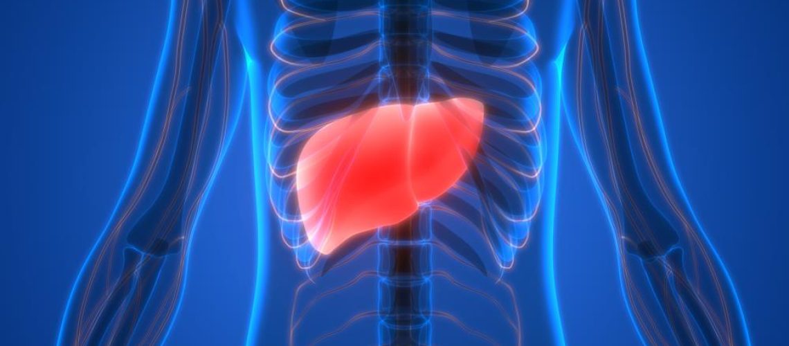 Liver-Fatty-Disease-Human-Cancer-Hepatitis-Anatomy.jpg