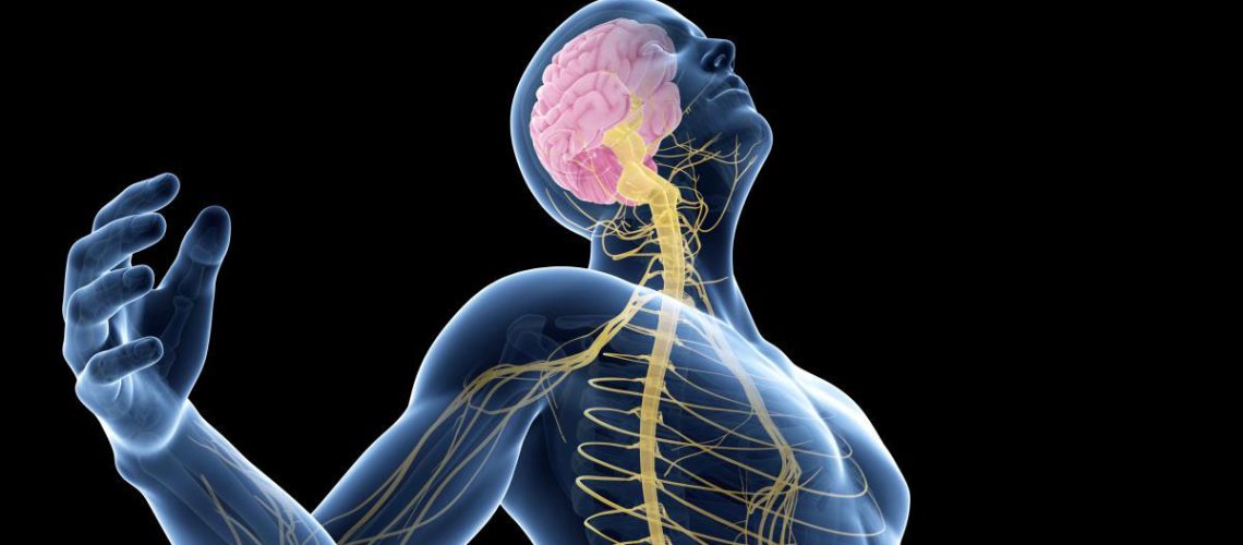 Male-Posing-Visible-Brain-Nerves.jpg